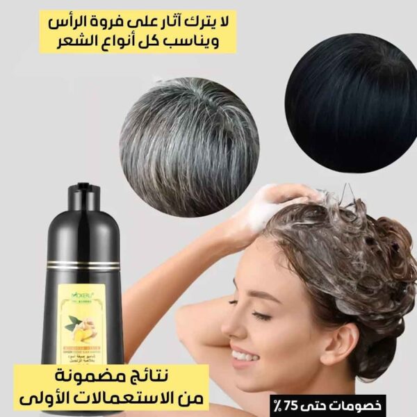 شامبو صبغ الشعر بخلاصة الزنجبيل